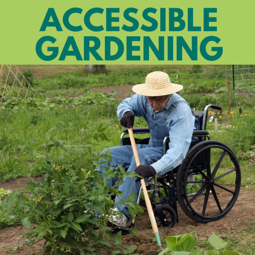 A person using a wheelchair is working in a garden, wearing a straw hat, denim overalls, and gloves. They are using a long-handled tool to tend to the plants. The text "ACCESSIBLE GARDENING" is written in large green letters at the top of the image.